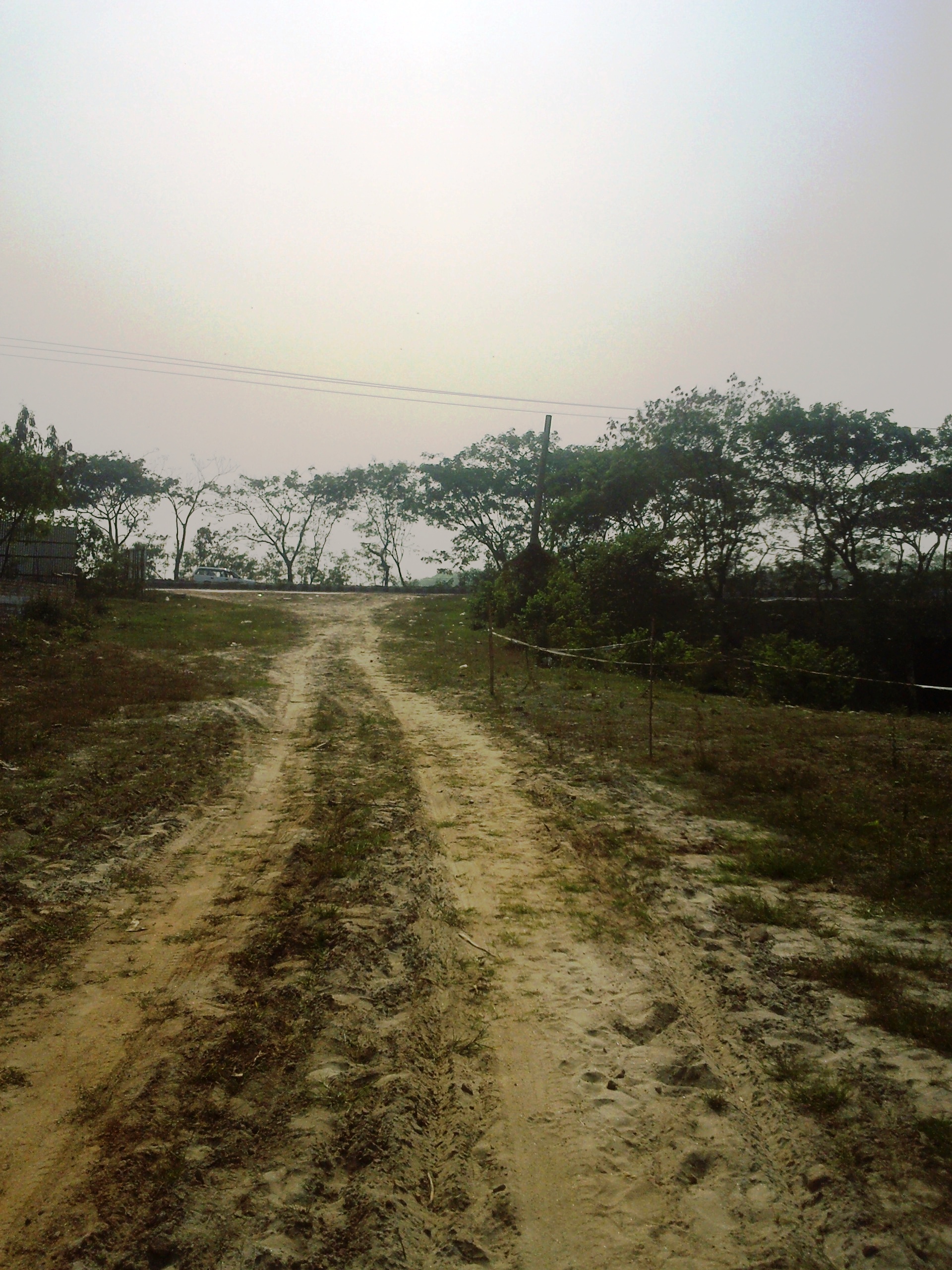 Sister Concern Image